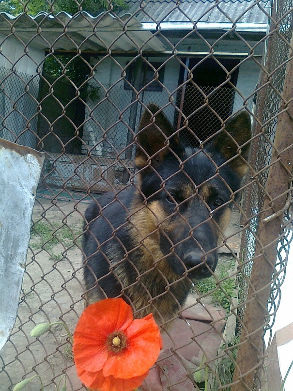 Инна Мазярко фотография #41