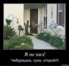 Ульяна Ніколенко фотография #29 (источник - https://vk.com/id38461390)