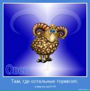 Ігор Попович фотография #20 (источник - https://vk.com/id68746915)