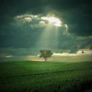 Фотография Пирогова Вячеслава