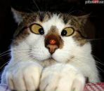 Фотография Фёдоровой Евгении