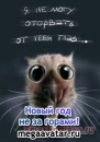 Фотография Багаутдиновой Юленьки