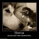 Фотография Тролля Древесныя