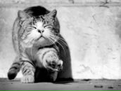 Фотография Овчинниковой Светланы