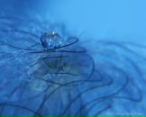 Лідія Подолей фотография #28 (источник - https://vk.com/id93000801)