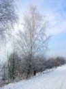 Сергій Синиця фотография #35 (источник - https://vk.com/id48487905)