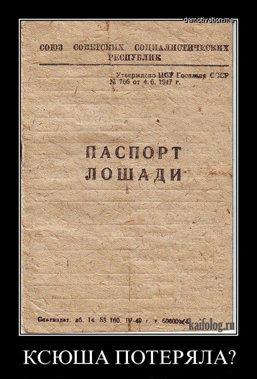 Стас Тимофеев фотография #21