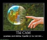 Олексій Дроздов фотография #14 (источник - https://vk.com/id39117121)