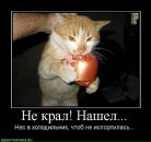 Фотография Ремискевич Ирины