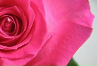 Фотография Грицук Светланы