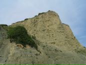 Максим Стяжкин фотография #25 (источник - https://vk.com/id1161563)