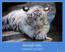 Іра Великожон фотография #14 (источник - https://vk.com/id66572897)