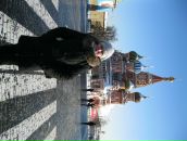 Леся Лозніцька фотография #27 (источник - https://vk.com/id8699962)