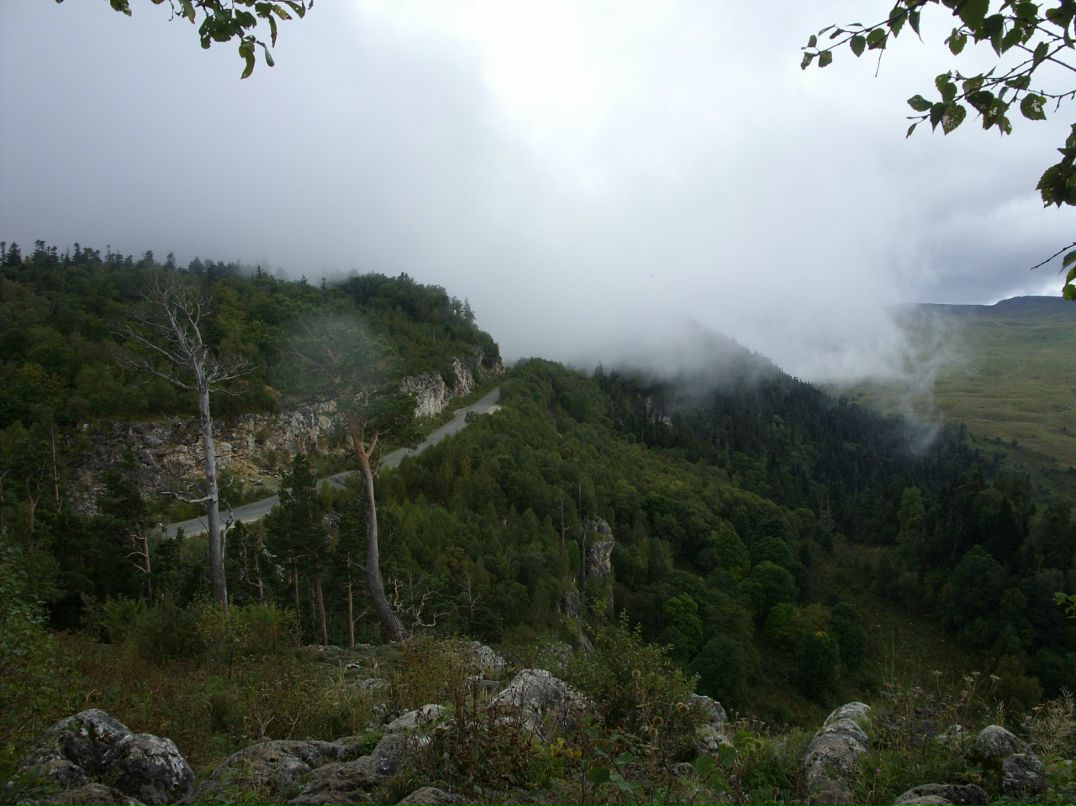 Алена Морева фотография #26