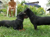 Александр Лысов фотография #28 (источник - https://vk.com/id1757321)