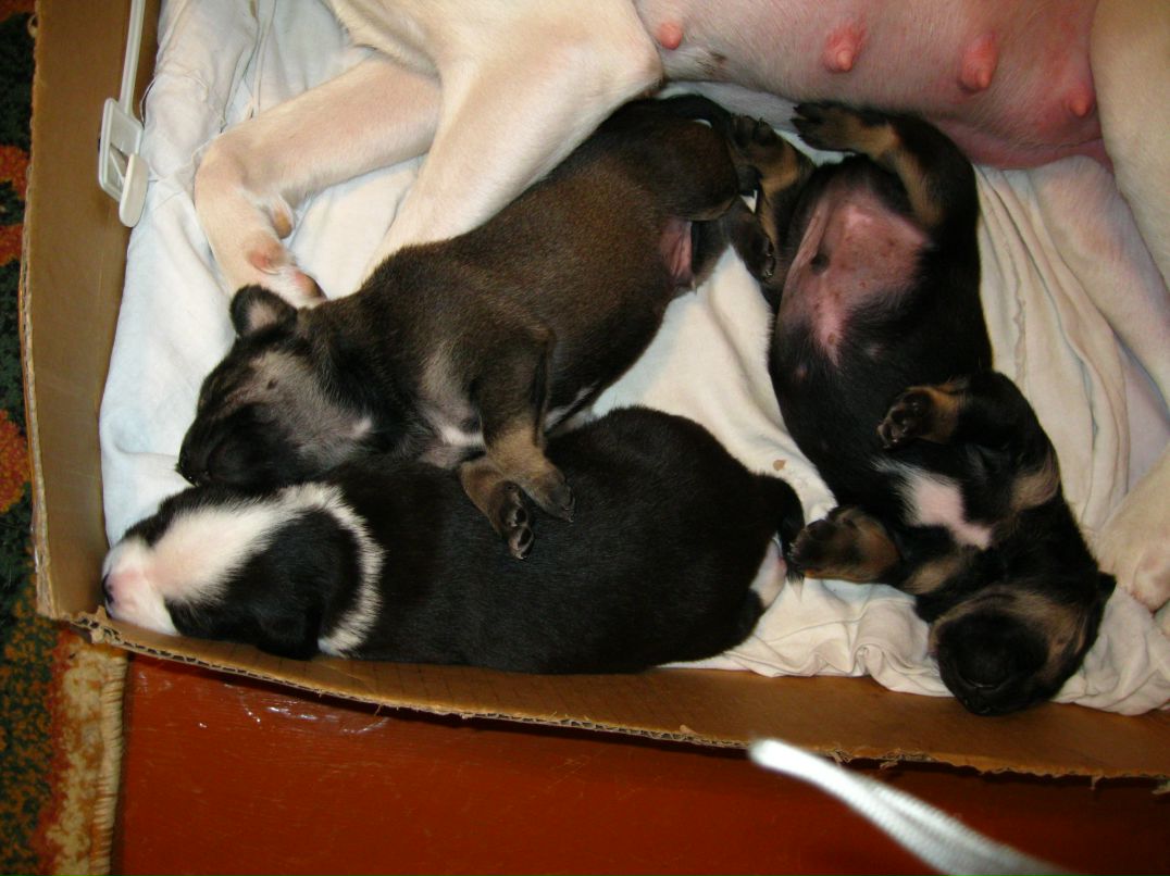 Станислав Стас фотография #41