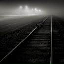 Фотография Истоминой Светланы