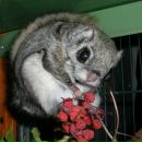 Фотография Сидоровой Анастасии