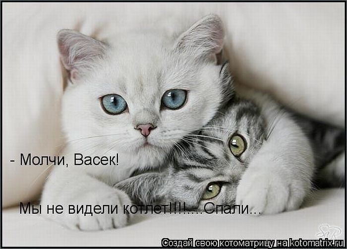 Татьяна Пухленко фотография #38