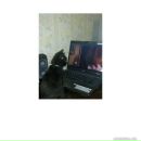 Фотография Лазаревой Елены