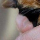 Каріно4ка♥ Шрамко фотография #7 (источник - https://vk.com/id147791993)