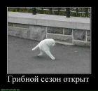 Рома Бручнівский фотография #45 (источник - https://vk.com/id57634724)