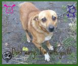 Руслан Пірог фотография #9 (источник - https://vk.com/id88772440)