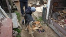 Андрей Евгеньев фотография #46 (источник - https://vk.com/id3372025)