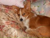 Валєра Орищук фотография #31 (источник - https://vk.com/id52458398)