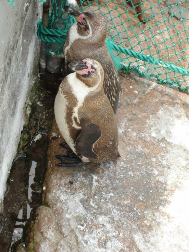 Дмитрий Тимохин фотография #42