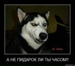 Masha :-) фотография #26 (источник - https://vk.com/id10666606)