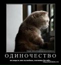 Андрій Лонюк фотография #20 (источник - https://vk.com/id61549944)