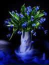 Фотография Хониной Анны