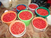 Фотография Поглазовой Елены