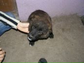 Андрій Возняк фотография #12 (источник - https://vk.com/id43204840)