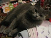 Фотография Зиминой Дины