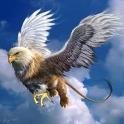 №6, Равиль Галиев, 25 лет, Нефтекамск №6, Равиль Галиев, 25 лет, Нефтекамск