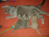 Фотография Медведевой Натальи