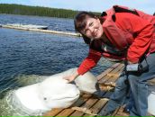 Фотография Дюрягиной Натальи