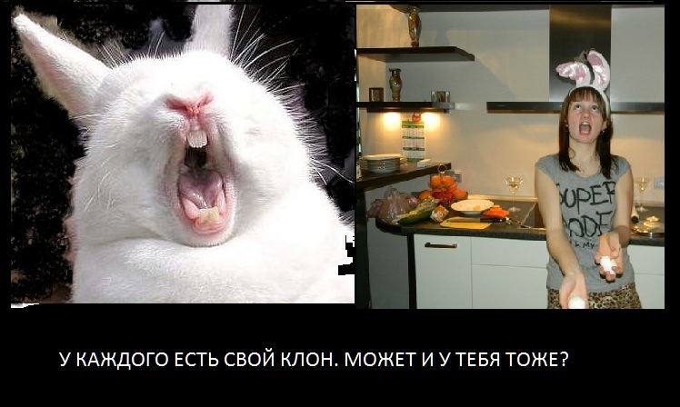 Анюта Шохан фотография #43