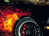 Сергій Мушик фотография #38 (источник - https://vk.com/id62072114)