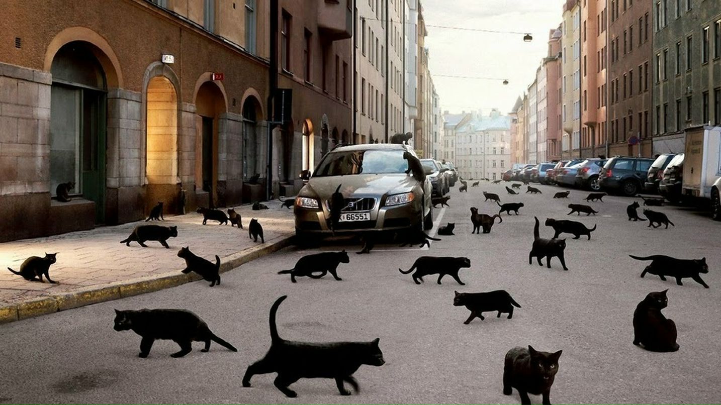 Max Bakaev фотография #32