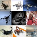 Фотография Окатова Андрея