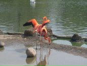 Фотография Кравченко Виталий