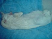 Фотография Шаматковой Вали