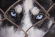 Фотография Суховой Люси