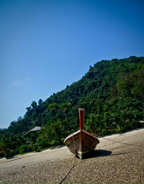 Дмитрий Тимофеев фото №4