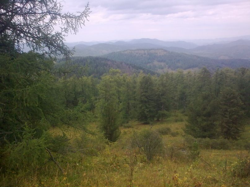 Сергей Плугарь фотография #31
