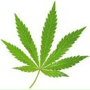 Фотография ByRyN)yK Хорошенькия