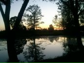 Фотография Александрова Ирина